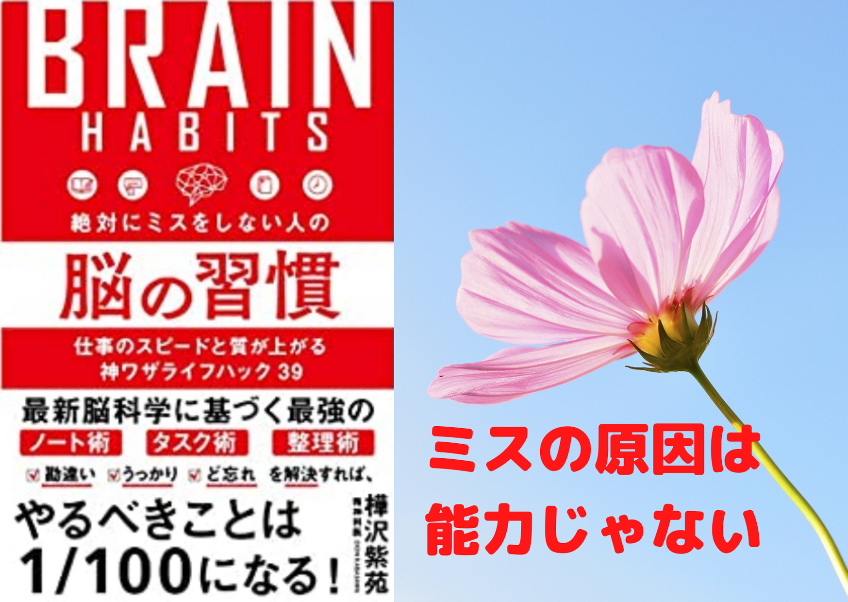 ミスが多い人の特徴 原因 対策 樺沢紫苑先生の脳の習慣から